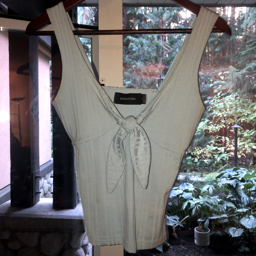 Mink pink blue top